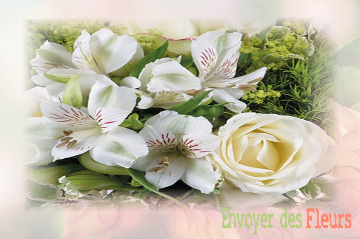 envoyer des fleurs à à SOMMIERES-DU-CLAIN